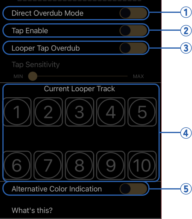 Looper settings