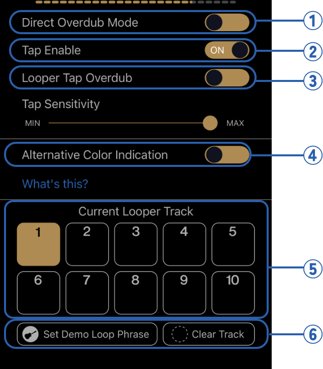 looper_setting