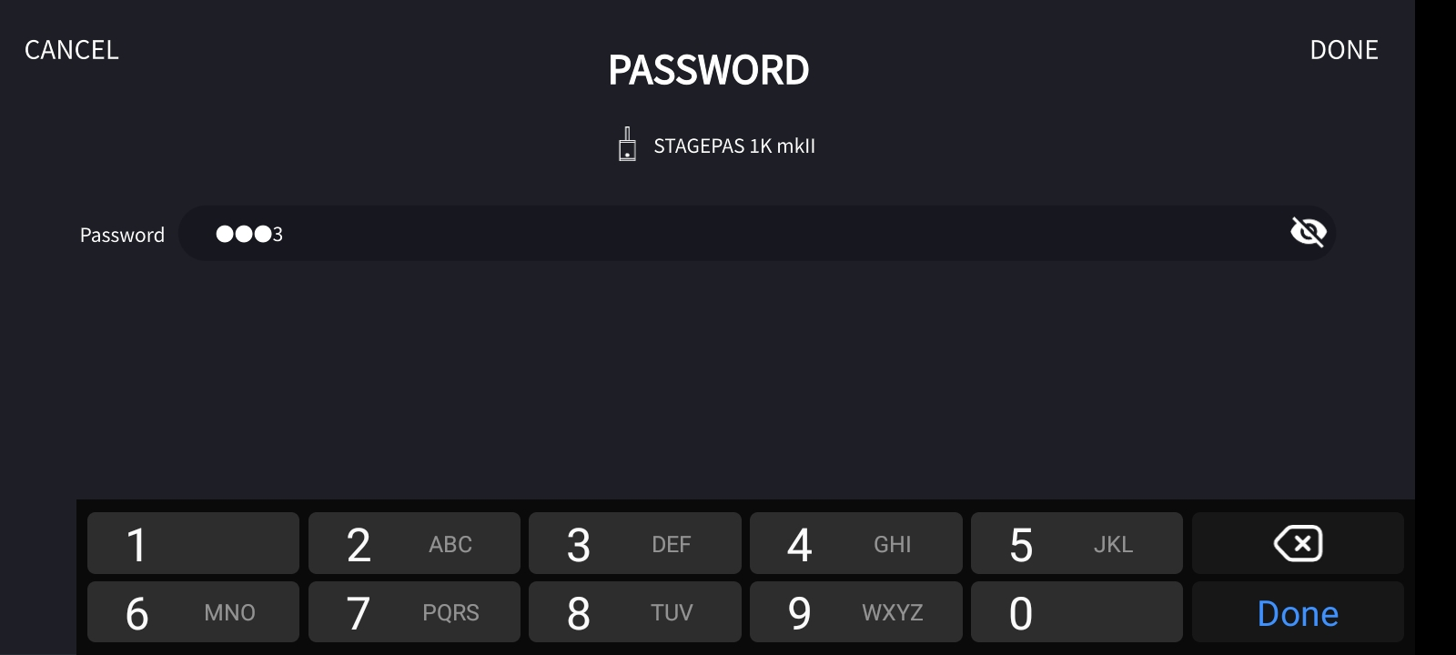 password input