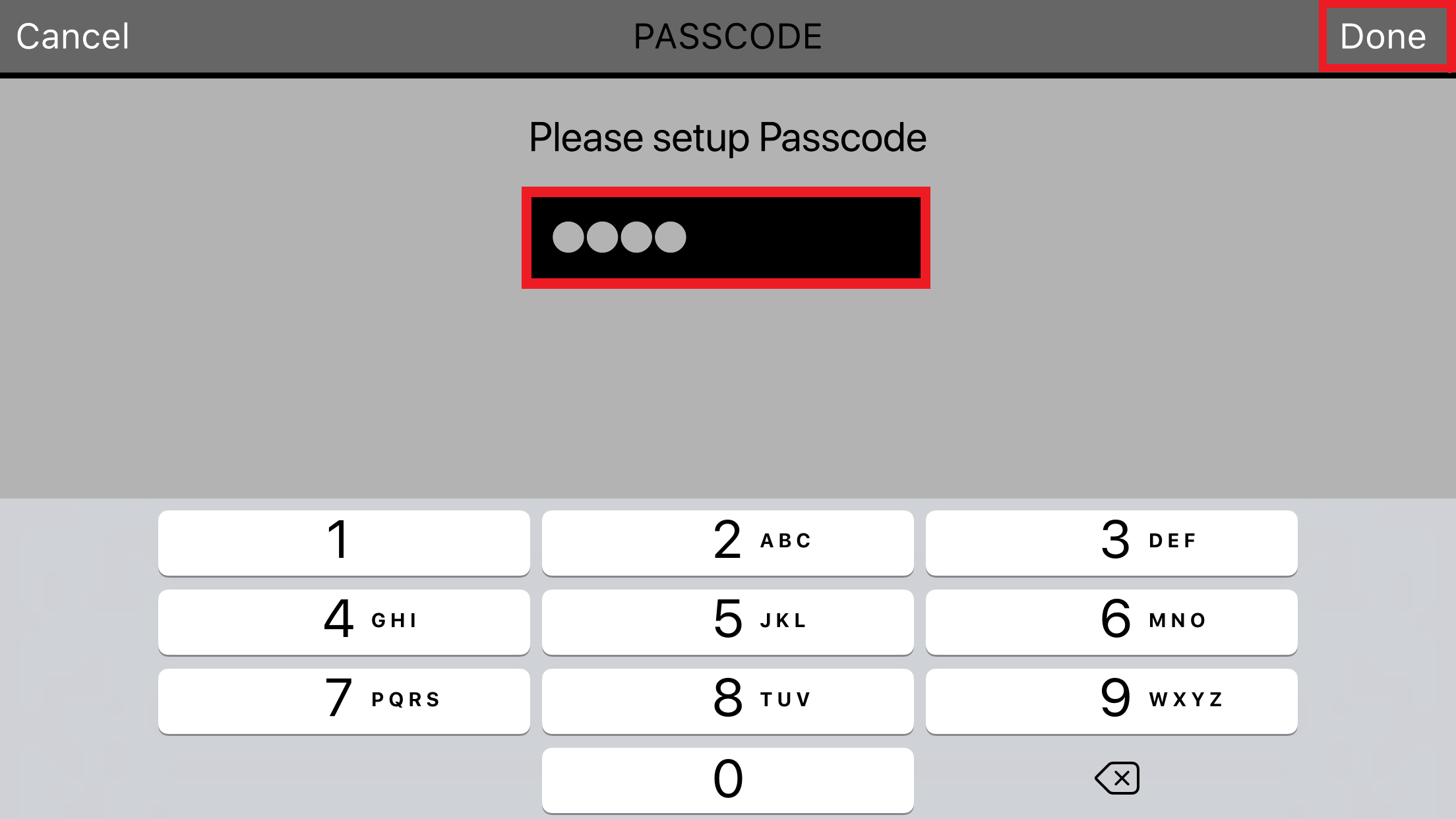 passcord input