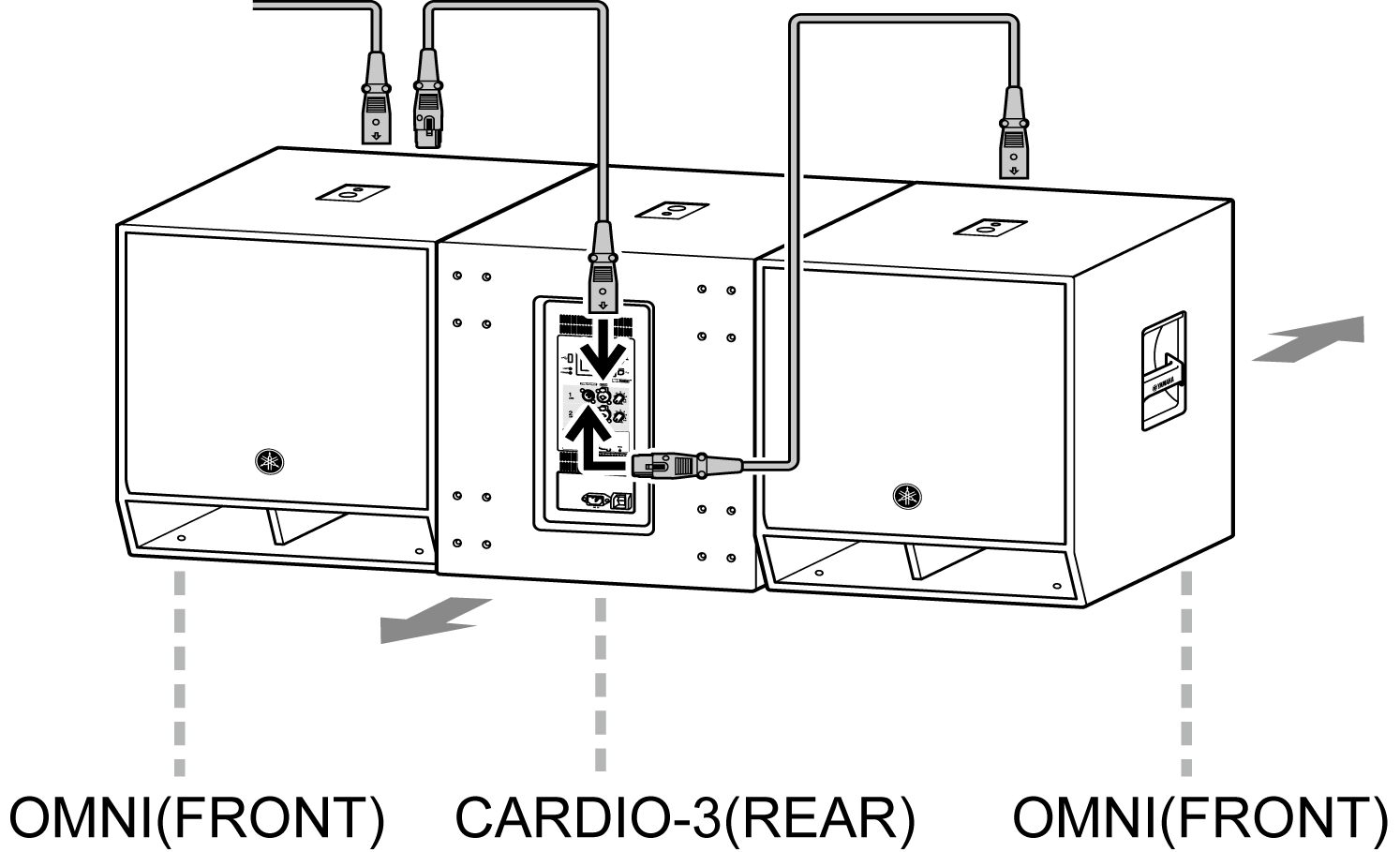 DZR cardioid3